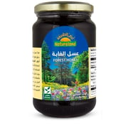 Natureland Forest Honey 500g