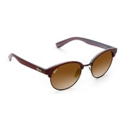 NOVA Amber Gradient Brown Sunglasses For Women NV4817F02 NOVA Amber Gradient Brown Sunglasses For Women NV4817F02