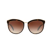 Tiffany Havana Plastic Women TF-4146-81343B-56 Sunglasses Tiffany Havana Plastic Women TF-4146-81343B-56 Sunglasses