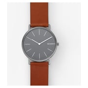 Skagen Signatur Brown Leather Men Watch SKW6429 Skagen Signatur Brown Leather Men Watch SKW6429