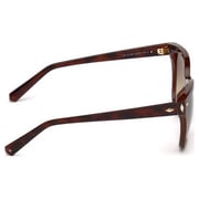 Swarovski SK0175-52F-55 Woman's Sunglass Swarovski SK0175-52F-55 Woman's Sunglass