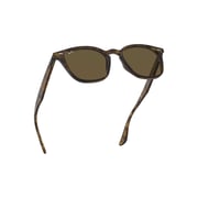 RayBan RB4258-710/73-50 Brown/Tortoise Propionate Unisex Sunglasses RayBan RB4258-710/73-50 Brown/Tortoise Propionate Unisex Sunglasses