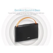 F&D Portable Bluetooth Speaker Black W17