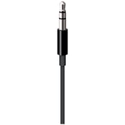Apple Lightning to 3.5mm Audio Cable 1.2m Black Apple Lightning to 3.5mm Audio Cable 1.2m Black