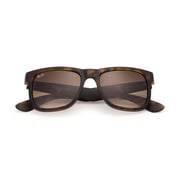 RayBan RB4165-710/13-55 Tortoise Nylon Men Sunglasses