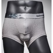 Lashevan All Mesh Underwear Dia Grey 100 (L)