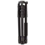 Benro Fit19aih0 Itrip Series 0 Aluminum Tripod With Ih0 Ball Head Benro Fit19aih0 Itrip Series 0 Aluminum Tripod With Ih0 Ball Head