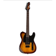 ESP Ltd Guitar Te200 Series With Roasted Jatoba Fretboard,tobacco Sunburst Finish