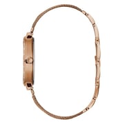 Guess CHIFFON Ladies Stainless Steel/Mesh W1083L3 Watch Guess CHIFFON Ladies Stainless Steel/Mesh W1083L3 Watch