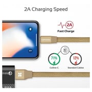 Promate Lightning Cable 1.2m Gold Promate Lightning Cable 1.2m Gold