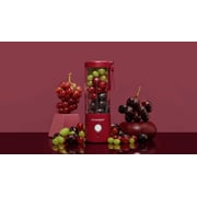 Buy Blendjet 2 Portable Blender Merlot Online in UAE Sharaf DG