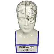 Design Toscano Sp020 Porcelain Phrenology Head Fortune Telling Statue, 12 Inch, Porcelain, White Design Toscano Sp020 Porcelain Phrenology Head Fortune Telling Statue, 12 Inch, Porcelain, White