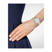 Skagen ANITA Brown Leather Women Watch SKW2634 Skagen ANITA Brown Leather Women Watch SKW2634