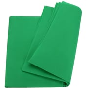 Coopic 3x6m / 10x19.68ft 100% Muslin Cotton Photography Background Backdrop Screen Sheet For Photo Studio Photography, Video And Television (green) Coopic 3x6m / 10x19.68ft 100% Muslin Cotton Photography Background Backdrop Screen Sheet For Photo Studio Photography, Video And Television (green)