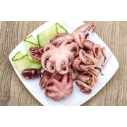 FROZEN RAW BABY OCTOPUS WHOLE CLEANED 2 kg