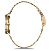 Omax Dome Series Gold Mesh Analog Watch For Women DCD004G11I Omax Dome Series Gold Mesh Analog Watch For Women DCD004G11I