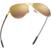 Rayban Pilot Gold Sunglasses For Unisex RB8317CH 001/6B