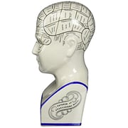 Design Toscano Sp020 Porcelain Phrenology Head Fortune Telling Statue, 12 Inch, Porcelain, White Design Toscano Sp020 Porcelain Phrenology Head Fortune Telling Statue, 12 Inch, Porcelain, White