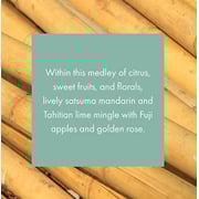 Golden Bamboo Monthly Fragrance Cartridge For Scentair Whisper Home