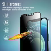 Promate Matte Privacy Screen Protector For iPhone 13 Pro Max