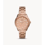 Fossil Women's Dayle Three-hand Date Rose Gold-tone Stainless Steel Watch Bq3596 Fossil Women's Dayle Three-hand Date Rose Gold-tone Stainless Steel Watch Bq3596