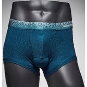 Lashevan All Mesh Underwear Prism Blue 100 (L) Lashevan All Mesh Underwear Prism Blue 100 (L)