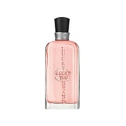 Liz Claiborne Lucky You L EDT 100 ml Liz Claiborne Lucky You L EDT 100 ml