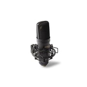 Marantz Professional MPM-2000U | Studio Condenser USB Microphone Marantz Professional MPM-2000U | Studio Condenser USB Microphone