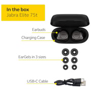 Jabra ELITE 75t True Wireless Earbuds Titanium/Black