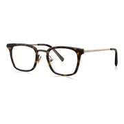 Bolon Aviator Brown Frames Unisex BJ6016-B20-48 Bolon Aviator Brown Frames Unisex BJ6016-B20-48
