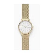 Skagen Signatur Gold Mesh Women Watch SKW2693 Skagen Signatur Gold Mesh Women Watch SKW2693