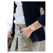 Skagen Signatur Brown Leather Women Watch SKW2624 Skagen Signatur Brown Leather Women Watch SKW2624