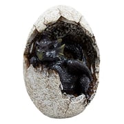 Ebros Gift Fossil Raeon Sunlight Dragon Hatchling Breaking Out Of Egg Shell Decorative Figurine 5 Ebros Gift Fossil Raeon Sunlight Dragon Hatchling Breaking Out Of Egg Shell Decorative Figurine 5