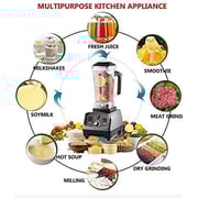 Biolomix Commercial Grade Timer Blender Mixer Automatic Fruit Juicer Food Processor T5200 Biolomix Commercial Grade Timer Blender Mixer Automatic Fruit Juicer Food Processor T5200