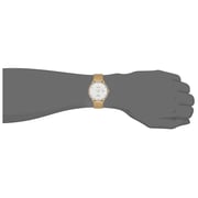Omax Dome Series Gold Mesh Analog Watch For Men DCD003G31I Omax Dome Series Gold Mesh Analog Watch For Men DCD003G31I