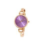 Eliz Iris Es8708l2rvr Pvd Rose Gold Case Jewelry Bracelet Women's Watch