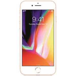 Buy Iphone Xs Max 18k Gold Plated 256gb Space Grey Price Specifications Features Sharaf Dg
