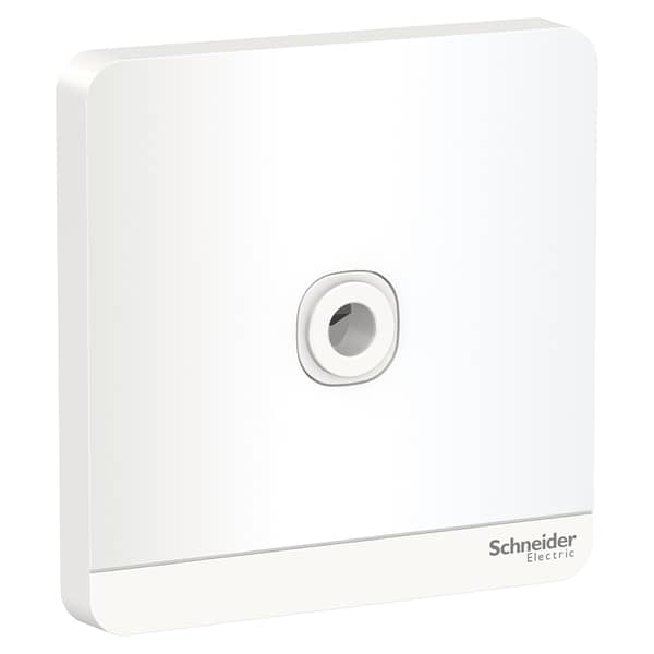 Schneider Electric E8331tb_we Avataron White - 25a 250v Connection Unit