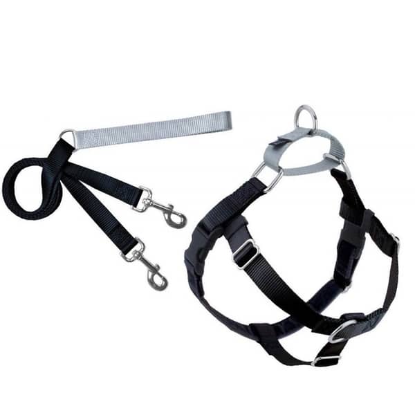 2 Hounds Design Freedom No-Pull Harness and Leash Black XS 5/8