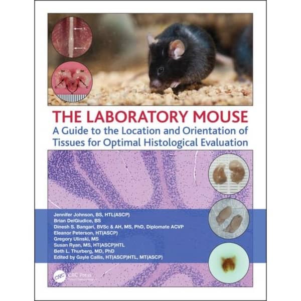 Laboratory Mouse