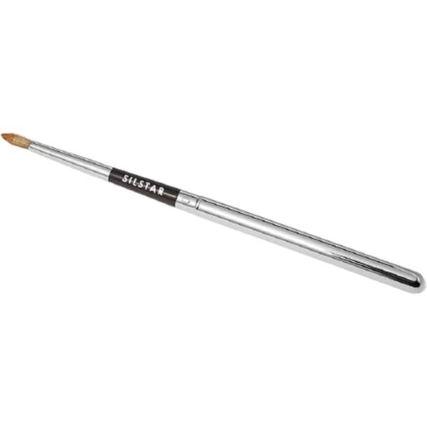 Butouch Professional Digital Painting Brush Stylus Silver