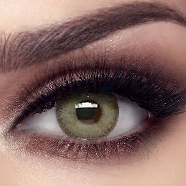 Bella Contact Lenses Elite Gray Olive