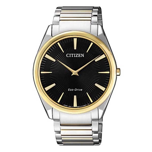 Citizen AR307888E Watch
