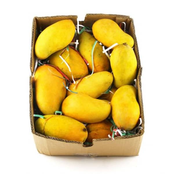 Mango Sindri (Pakistan) 6kg