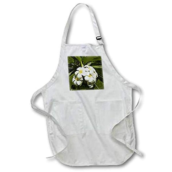 3Drose Frangipani Flowers, Nadi, Viti Levu, Fiji-Oc01 Dwa0322-David Wall-Medium Length Apron, 22 By 24