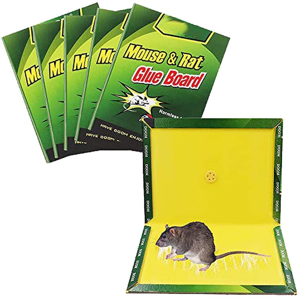 Buy Lavish (pack Of 10) Mouse Trap Glue Sticky Board For Rats, Cockroaches,  Spiders Etc. Non-toxic Eco-friendly Online in UAE