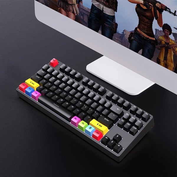 HXSJ L600 87 Keys Wired Mechanical Keyboard Two-color Injection Keycap White Backlight Detachable Type-C Cable Black(Red Switches)