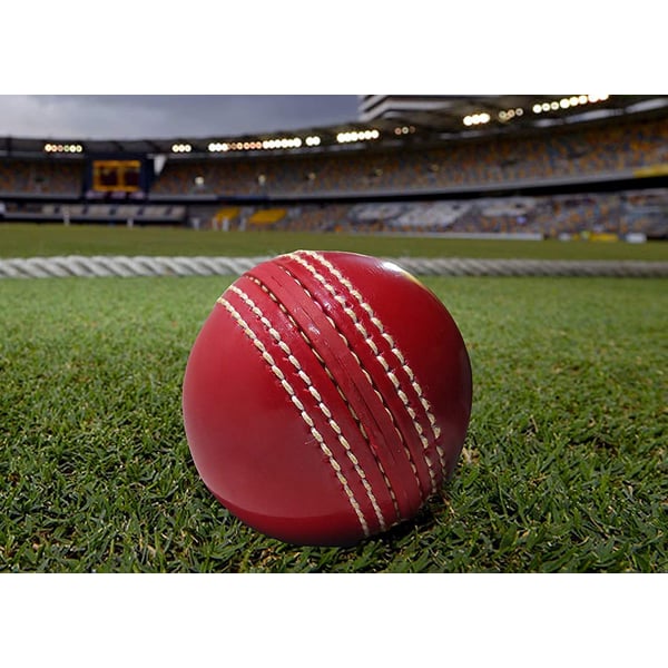 ULTIMAX Cricket Rubber Soft Balls Cricket Balls for Practice 1 packet inside 3 ball-RED ULTIMAX Cricket Rubber Soft Balls Cricket Balls for Practice 1 packet inside 3 ball-RED