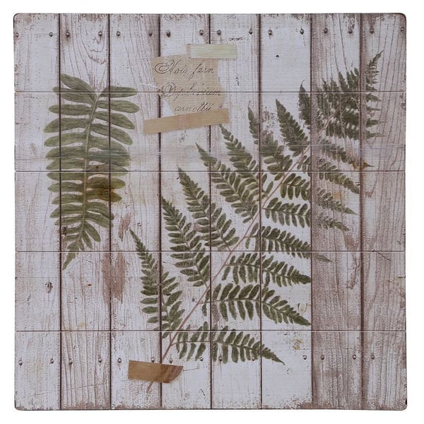 Pan Emirates Green Fern Wall Art Multi Color Pan Emirates Green Fern Wall Art Multi Color