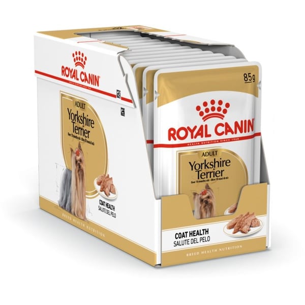 Buy Royal Canin Breed Health Nutrition Yorkshire Adult Wet Food
